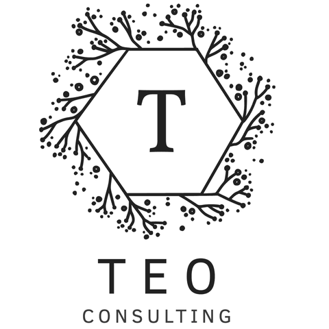 TEO Consulting 